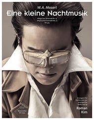 cover Eine Kleine Nachtmusik Violin Solo cover